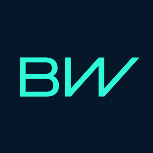 borgwarner.com favicon