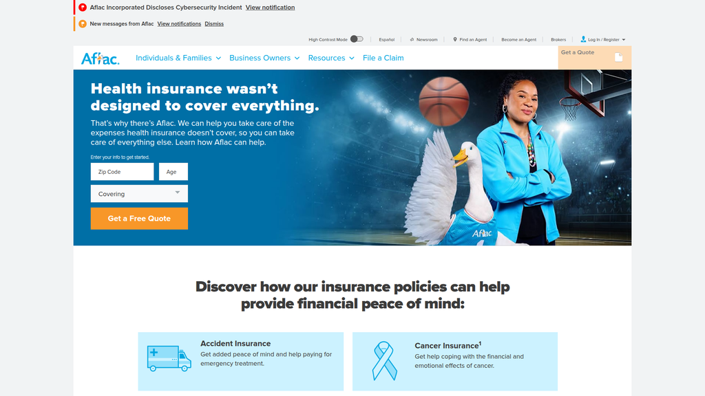 Website screenshot